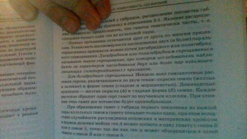 Обьясните мне понятным языком 3 закон менделя это дигибридное скрещивание, что такое 3: 1, как решат