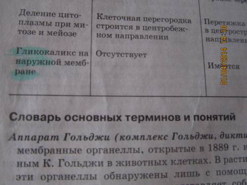 Отличия в строении клеток у разных царств живой природы