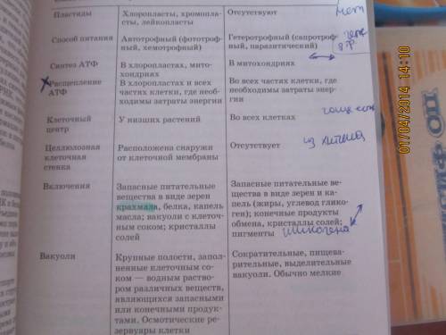 Отличия в строении клеток у разных царств живой природы