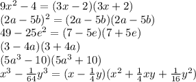 9x^{2}-4=(3x-2)(3x+2) \\ (2a-5b)^{2}=(2a-5b)(2a-5b) \\ 49-25e^{2}=(7-5e)(7+5e) \\ (3-4a)(3+4a) \\ (5a^{3}-10)(5a^{3}+10) \\ x^{3}- \frac{1}{64}y^{3}=(x- \frac{1}{4}y)(x^{2}+\frac{1}{4}xy+\frac{1}{16}y^{2})