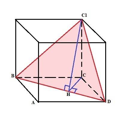 Впрямоугольном параллелепипеде abcda1b1c1d1 проведено сечение плоскостью,содержащей прямую bd и верш