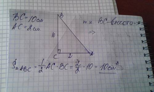 Найдите площадь прямоугольного треугольника если катеты его равны 2см и 10см