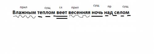 Разобрать синтаксически предложение: влажным теплом веет весенняя ночь над селом