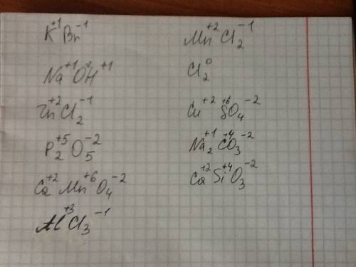 Расставтье степени окисления у: kbr naoh zncl2 p2o5 camno4 nacl2 alcl3 mncl2 cl2 cuso4 na2co3 casio3