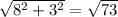 \sqrt{ 8^{2}+ 3^{2} } = \sqrt{73}