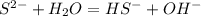 S^{2-}+H_2O = HS^-+OH^-