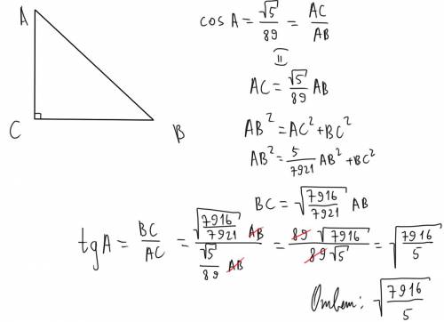 Втреугольнике авс угол с равен 90 градусов, косинус угла а равен √5/89. найти тангенс угла а.