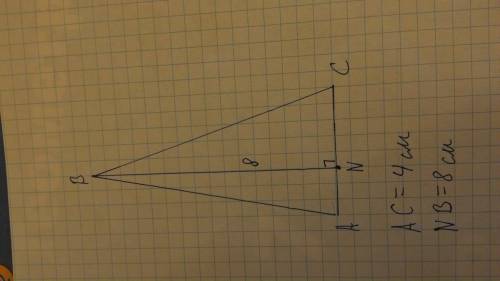 Построй треугольник у которого одна сторона имеет длину 8 см а высота к этой стороне имеет длину 4 с