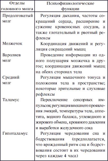 Назовите все отделы головного мозга. за что они отвечают?