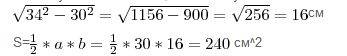 Один из катетов прямоугольного треугольника равен 30 см а радиус описанной окружности 17 см найти пл