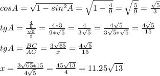 cos A= \sqrt{1- sin^{2} A } = \sqrt{1- \frac{4}{9}} = \sqrt{ \frac{5}{9}} = \frac{ \sqrt{5}}{3} \\ \\ tg A= \frac{ \frac{4}{9} }{ \frac{ \sqrt{5}}{3}} = \frac{4*3}{9* \sqrt{5}} = \frac{4}{3 \sqrt{5}} = \frac{4 \sqrt{5} }{3 \sqrt{5} * \sqrt{5}} = \frac{4 \sqrt{5}}{15} \\ \\ tg A= \frac{BC}{AC} = \frac{3 \sqrt{65} }{x} = \frac{4 \sqrt{5}}{15} \\ \\ x= \frac{3 \sqrt{65}*15 }{4 \sqrt{5} } = \frac{45 \sqrt{13}}{4} =11.25 \sqrt{13}