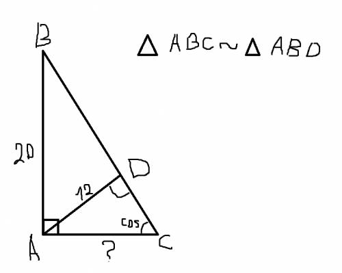 Впрямоугольном треугольнике abc угол а равен 90 градусам,ab равен 20 см,высота ad равна 12 см. найти