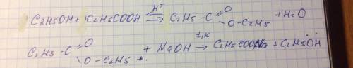 Всхеме превращений: c2h5oh + x→c2h5cooc2h5 +y →c2h5coona реагентами «х» и «y» являются: 1) x – c2h5c