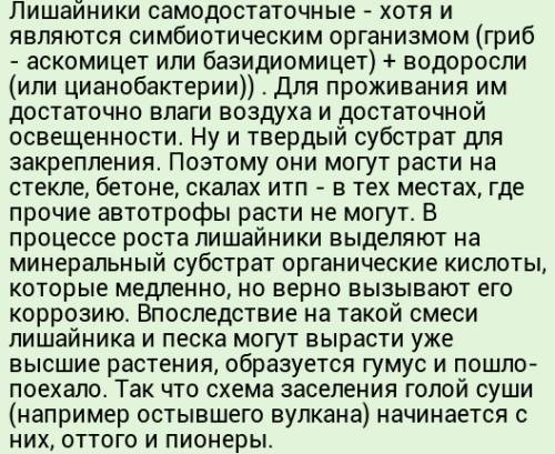 Чому лишайників називають піонерами суші