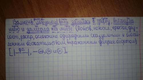 Заметив ловушку выпь забилась в траву вытянула шею и замерла на месте. синтаксический разбор