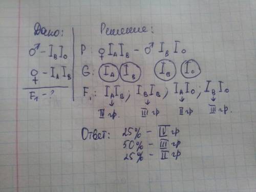 Жена гомозигота ii группа крови, муж ii группа крови гетерозигота, группа крови детей? полное решени