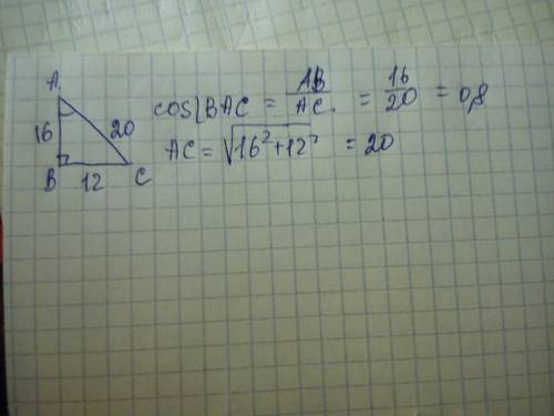 Дан прямоугольный треугольник с катетами 12 и 16. найдите косинус меньшего угла треугольника.
