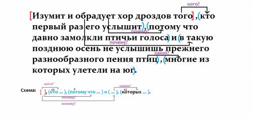 Составьте схему предложения,.буду . изумит и обрадует хор дроздов того, кто первый раз его услышит,