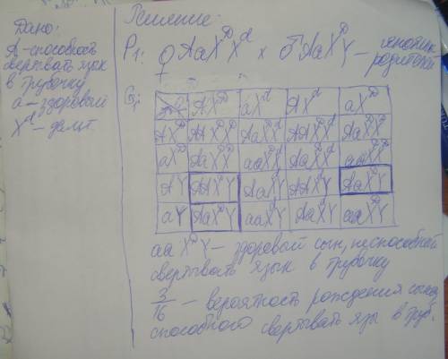 Учеловека свертывать язык в трубочку- доминантный аутосомный признак ,дальтонизм- рецессивный сцепле