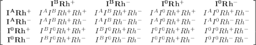 \left[\begin{array}{ccccc}&\bold{I^BRh^+}&\bold{I^BRh^-}&\bold{I^0Rh^+}&\bold{I^0Rh^-}}\\\bold{I^ARh^+}&I^AI^BRh^+Rh^+&I^AI^BRh^+Rh^-&I^AI^0Rh^+Rh^+&I^AI^0Rh^+Rh^-\\\bold{I^ARh^-}&I^AI^BRh^+Rh^-&I^AI^BRh^-Rh^-&I^AI^0Rh^+Rh^-&I^AI^0Rh^-Rh^-\\\bold{I^0Rh^+}&I^BI^0Rh^+Rh^+&I^BI^0Rh^+Rh^-&I^0I^0Rh^+Rh^+&I^0I^0Rh^+Rh^-\\\bold{I^0Rh^-}&I^BI^0Rh^+Rh^-&I^BI^0Rh^-Rh^-&I^0I^0Rh^+Rh^-&I^0I^0Rh^-Rh^-\end{array}\right] \\