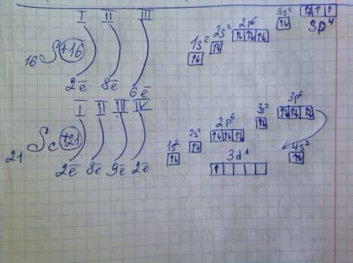 Напишите электронные формулы и распределите электроны по квантовым ячейкам для элементов с порядковы