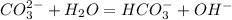 CO_{3}^{2-} + H_{2}O = HCO_{3}^{-} + OH^{-}