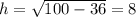 h= \sqrt{100-36} =8