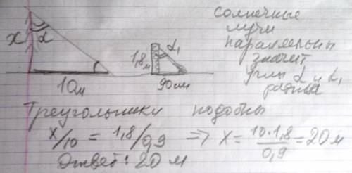 Всонечный день,длина тени на замле от чеовека ростом 1,8м равна 90см,а от дерева-10.какова высота де