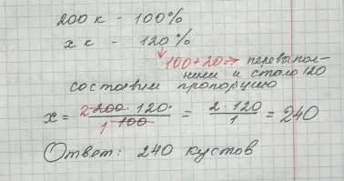 Ученикам было дано посадить 200 кустов. они перевыполнили на 20%.сколько кустов посадили ученики?