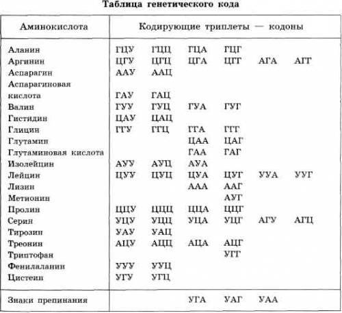 Дать определение и сделать ген запись