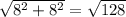 \sqrt{ 8^{2} + 8^{2} }= \sqrt{128}