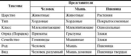 Мне нужно написать 5 примеров естественной классификации животного мира, в таком порядке: вид род се