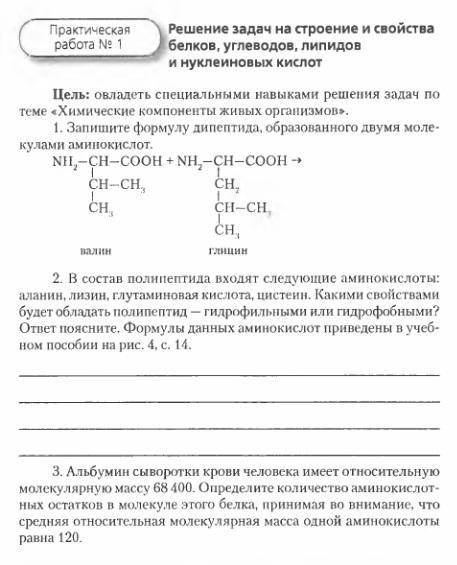 Нужна готовая практическая работа по биологии 10 класс