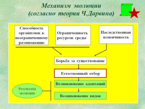 Основные механизмы эволюции дарвина ( логическое объяснение многообразия органического мира по дарви