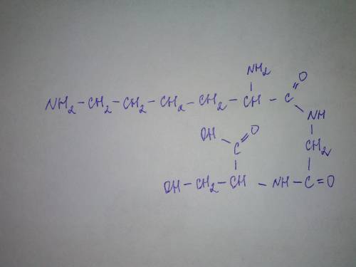 Формула трипептида: лизин-глицин- надо)