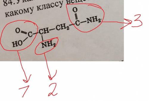 Укажите в формуле аспарагина изученные функциональные группы и назовите их. к какому классу веществ