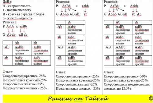 По генетике: у томатов скороспелость (a) и красная окраска плодов (в)- доминантные признаки, а поздн