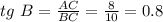 tg\,\, B= \frac{AC}{BC} = \frac{8}{10} =0.8