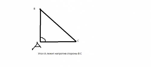 Что значит угол, противолежащий стороне?