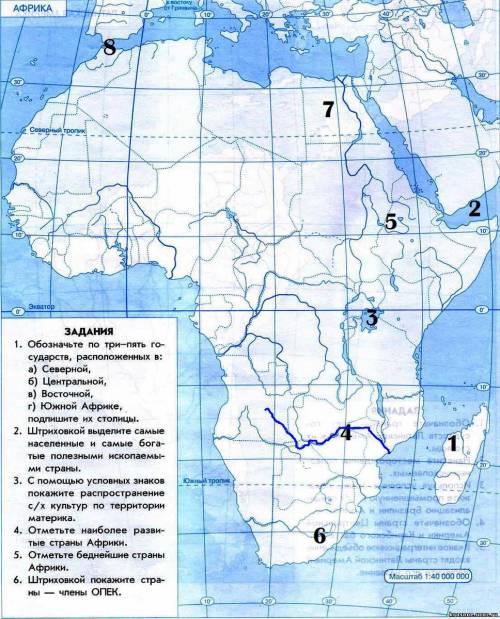 Скиньте контурную карту на которой нарисована долгота и широта африки (за фотку : ) 30 !