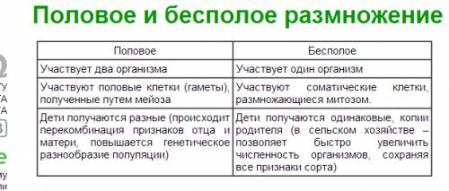 Основные типа размножения. признаки: число родительских особей.(бесполое,половое) особенности клеток