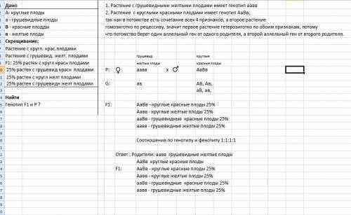 Решите по генетике: у томатов округлая форма плодов(а) доминирует над грушевидной(а), красная окраск