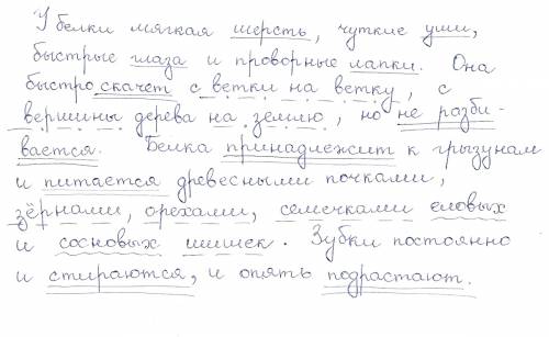 Спишите каллиграфическим почерком. у белки мягкая шерсть, чуткие уши, быст рые глаза и проворные лап