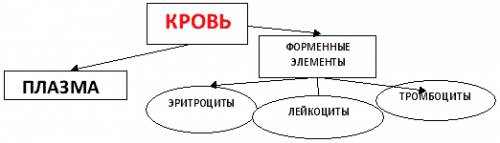 Изобразить схематично состав крови.