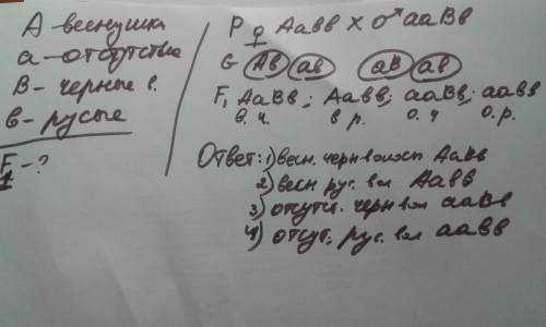 Учеловека веснушки доминантны над их отсутствием, а чёрные волосы над русыми.какие могут родиться де