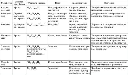 Составьте таблицу по семействам двудольных. зарание .