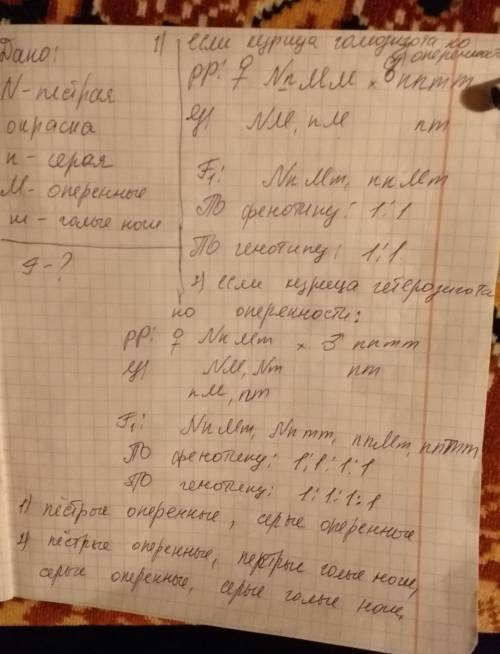 12) у кур пестрая окраска оперения доминирует над серой, а голые ноги рецессивны по отношению к опер