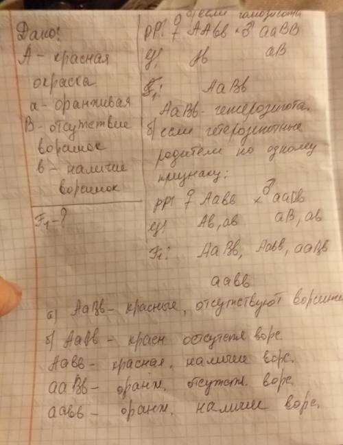 14) у атомов красная окраска плода доминирует над оранжевой, а отсутствие ворсинок- над их наличием.