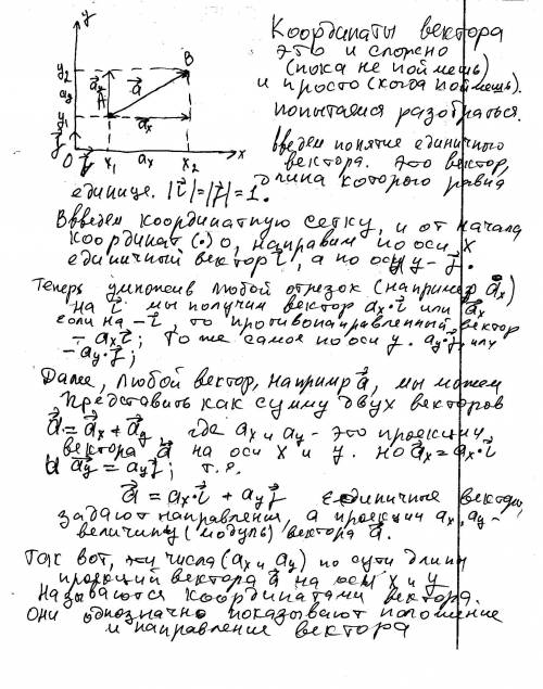 Чему равны координаты координатных векторов? как связаны между собой координаты равных векторов?