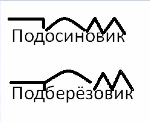 Корни сложных слов подосиновик и подберезовик